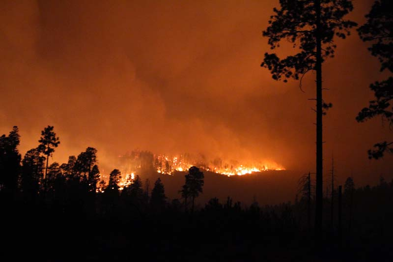 A large wildfire burns in Las Conchas during 2011 (photo by Jayson Coil, courtesy of Las Conchas Fire Information).