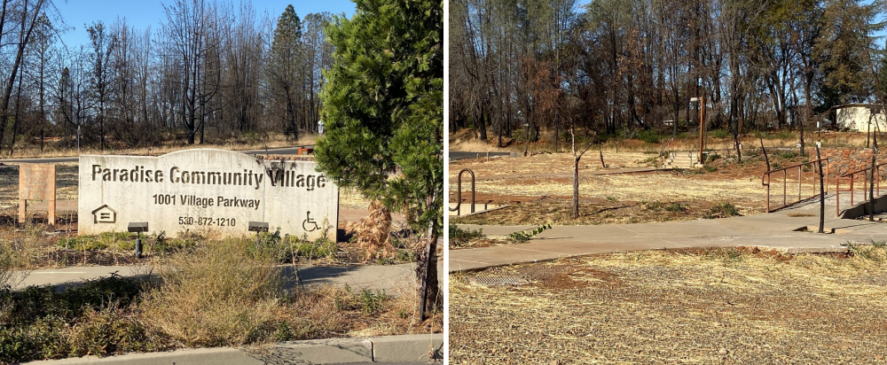 Paradise Community Village cleared lot