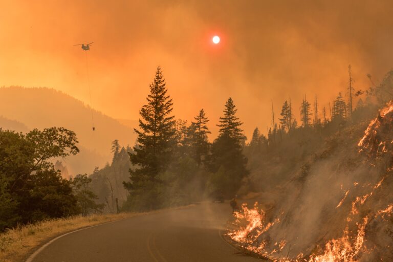 2021 North American Wildfire Season Center For Disaster Philanthropy