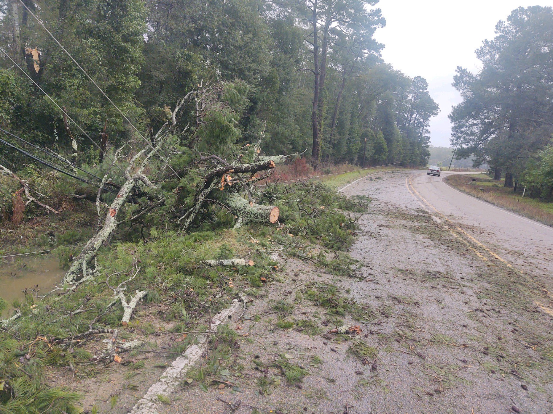 Power lines down along LA 1019