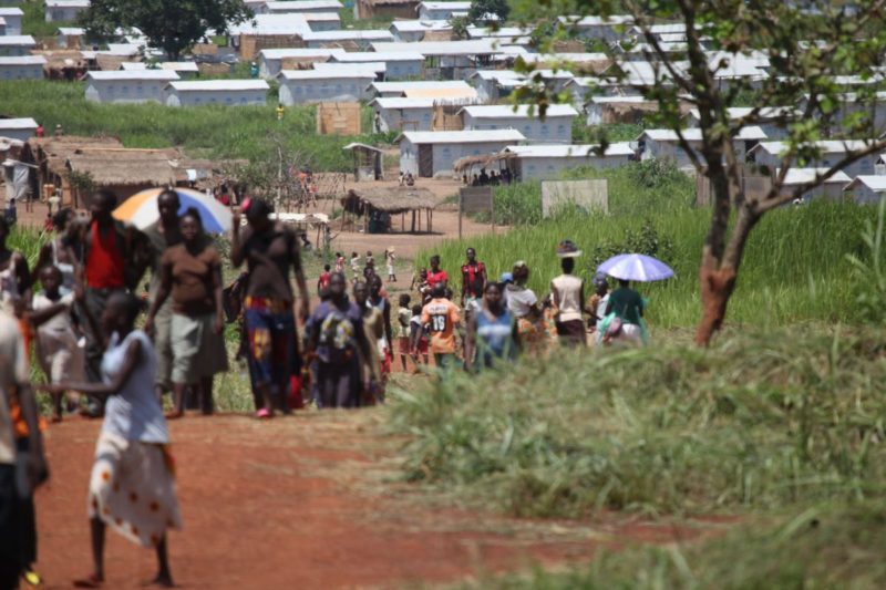 A refugee camp in Mole, Democratic Republic of the Congo.