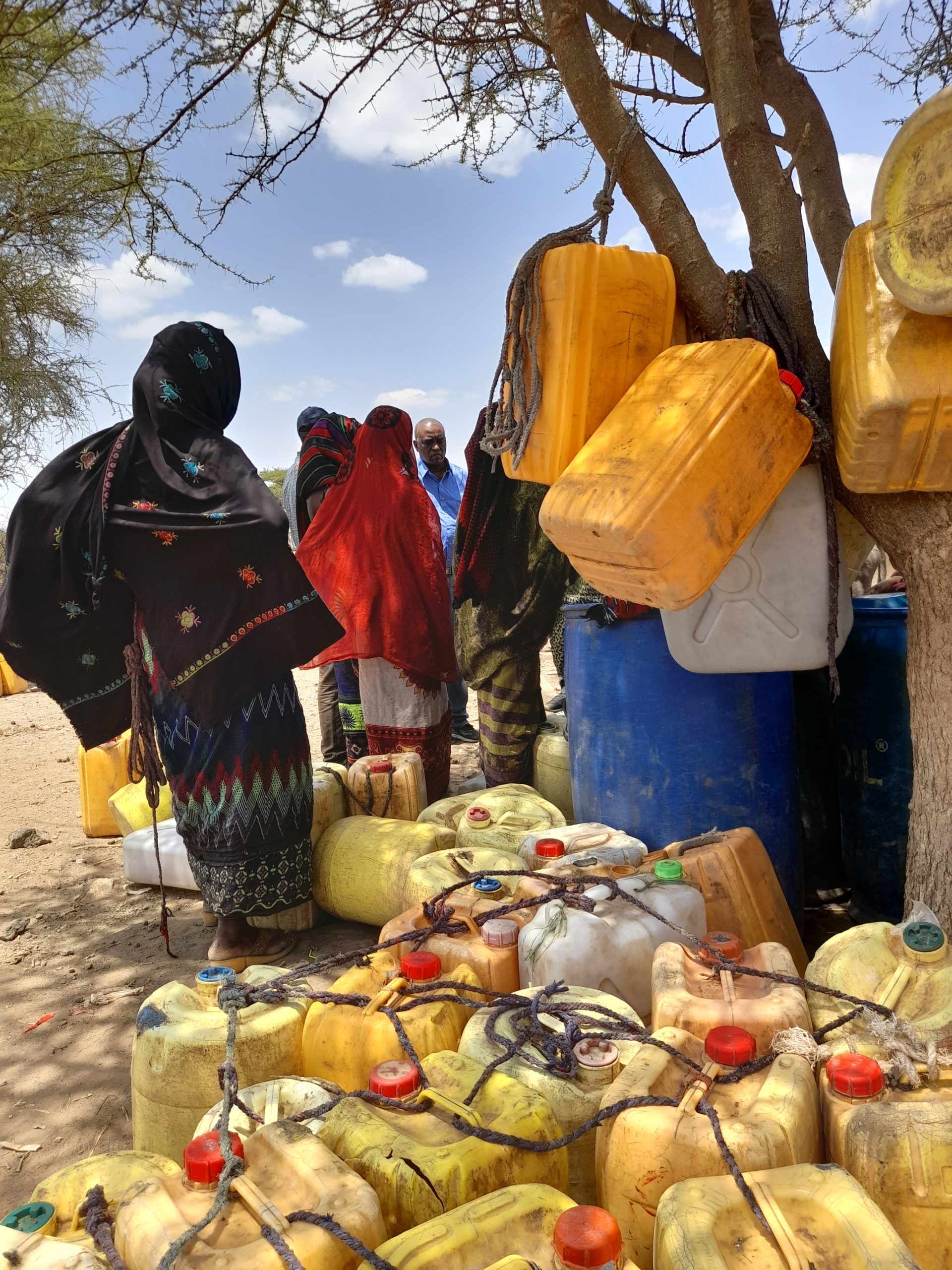 Local and wide-scale livestock movement networks inform disease control  strategies in East Africa