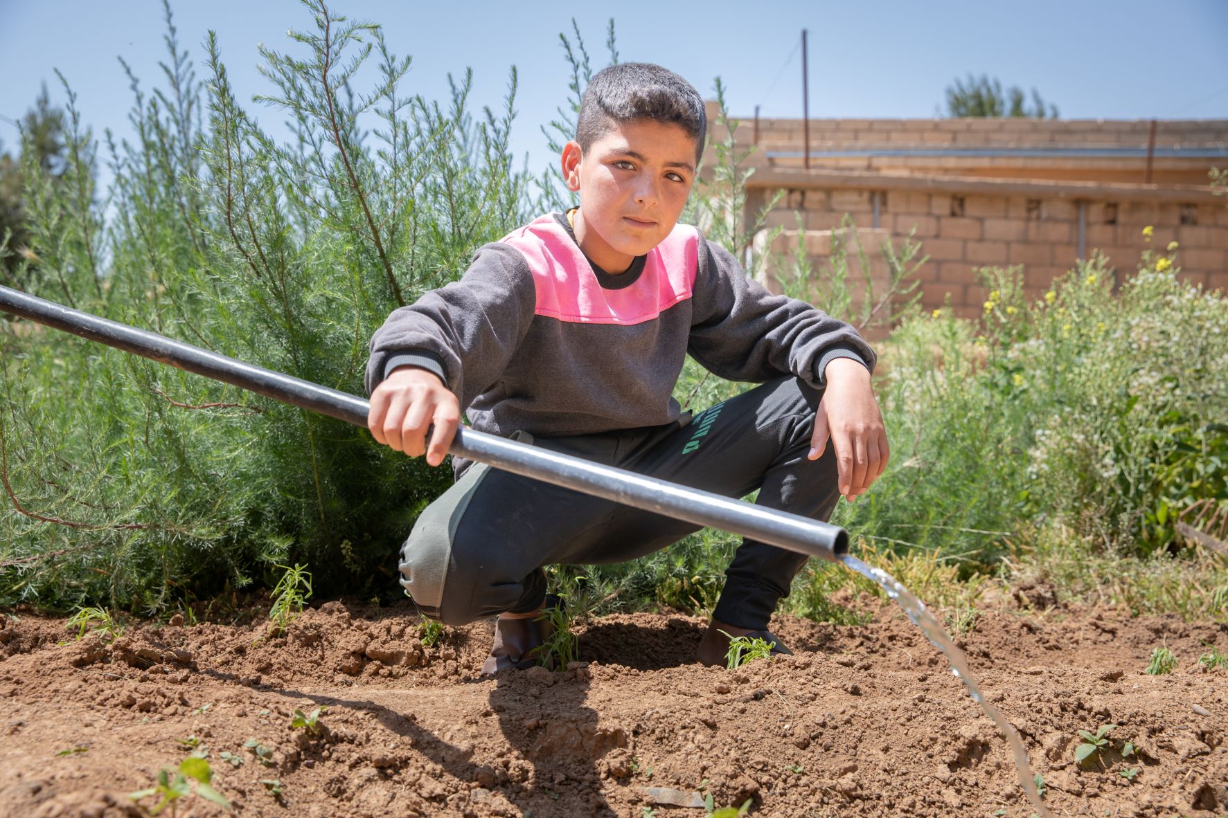 A 14-year-old boy waters vegetables in the field next to his family’s home