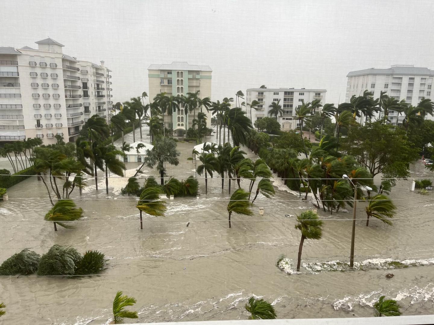Hurricane Ian Responding To A Catastrophic Storm Center For Disaster