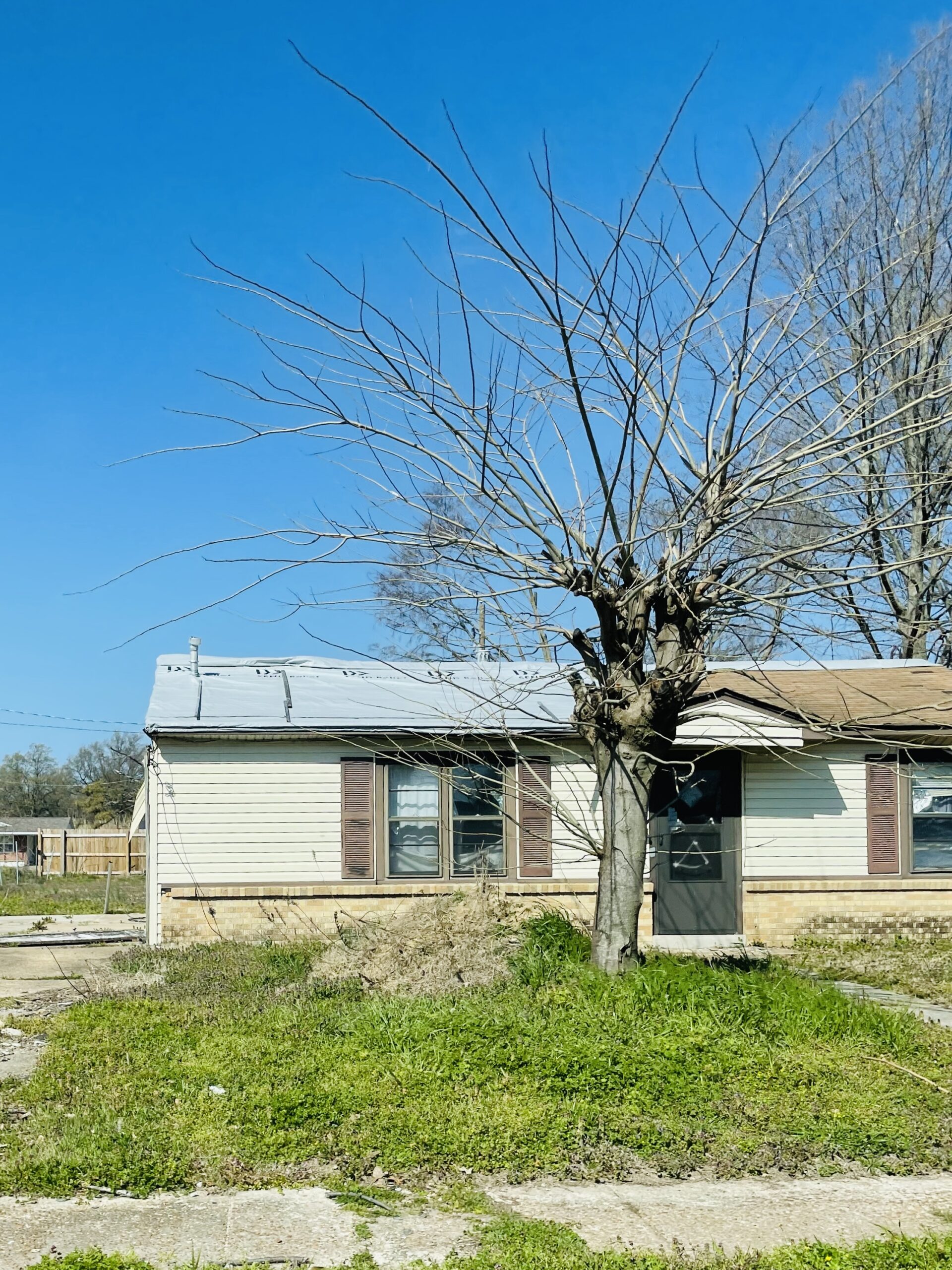 Sixteen months later A look at tornado recovery in Arkansas CDP