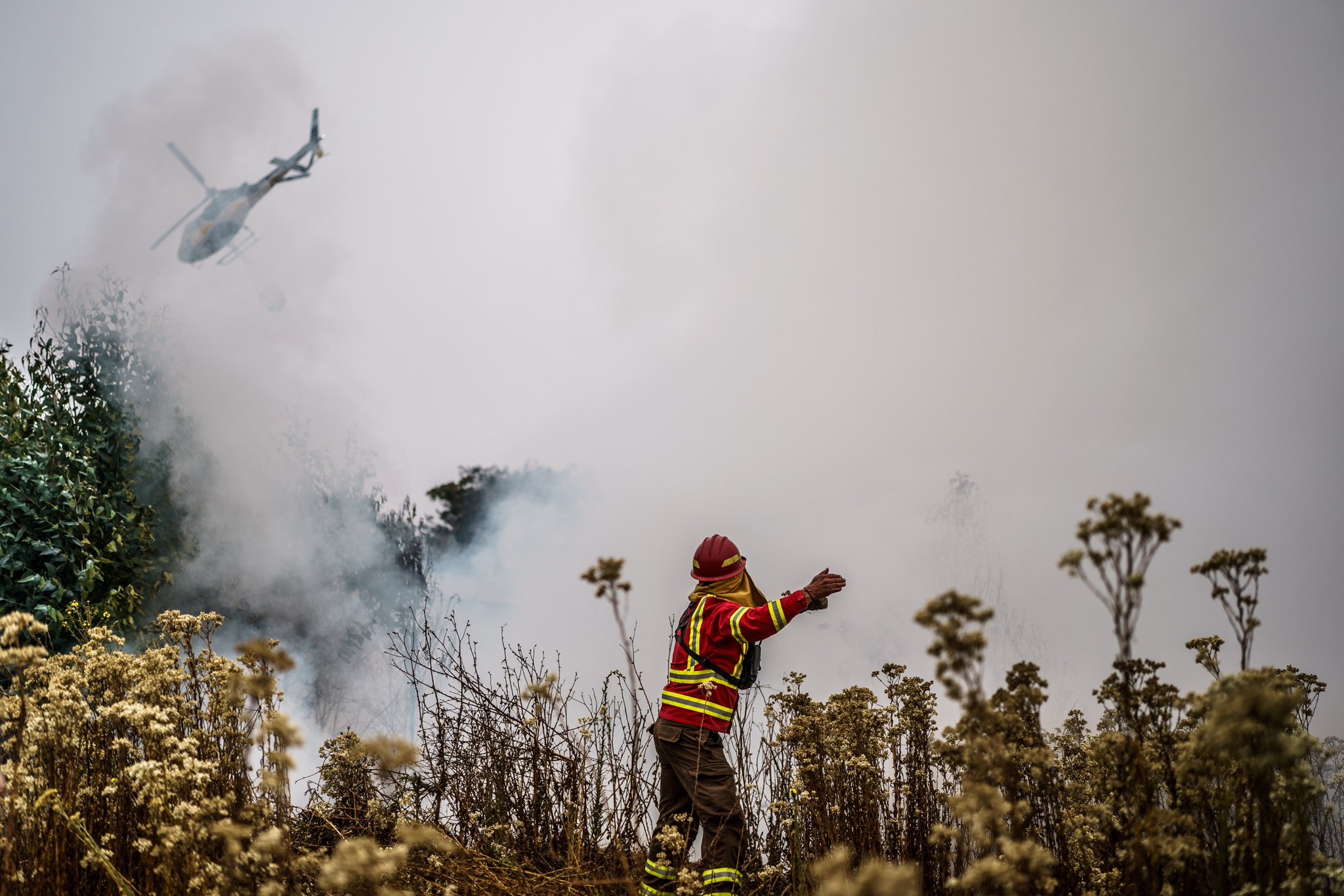 bbc news chile wildfires