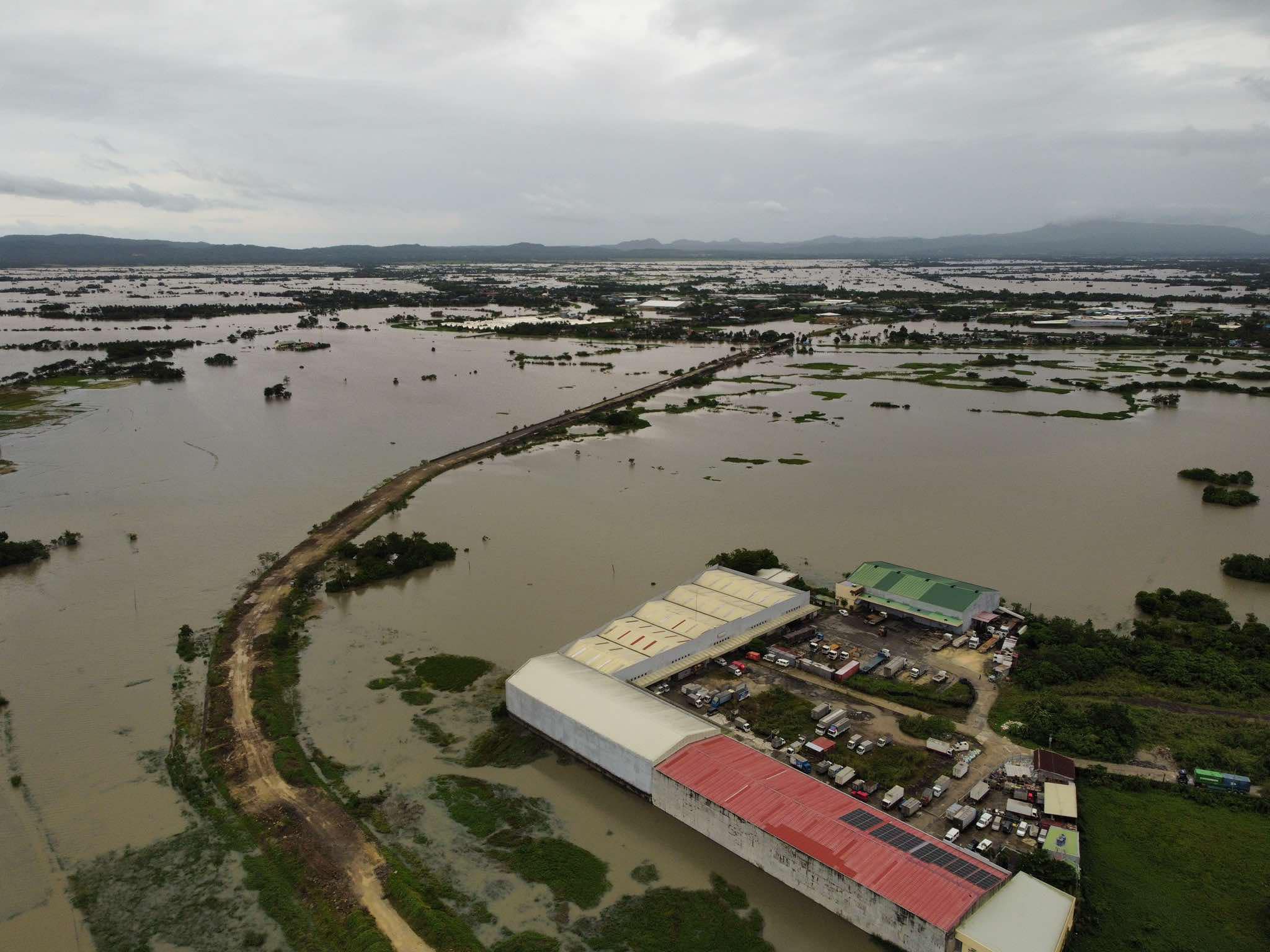 Rice fields submerged in water