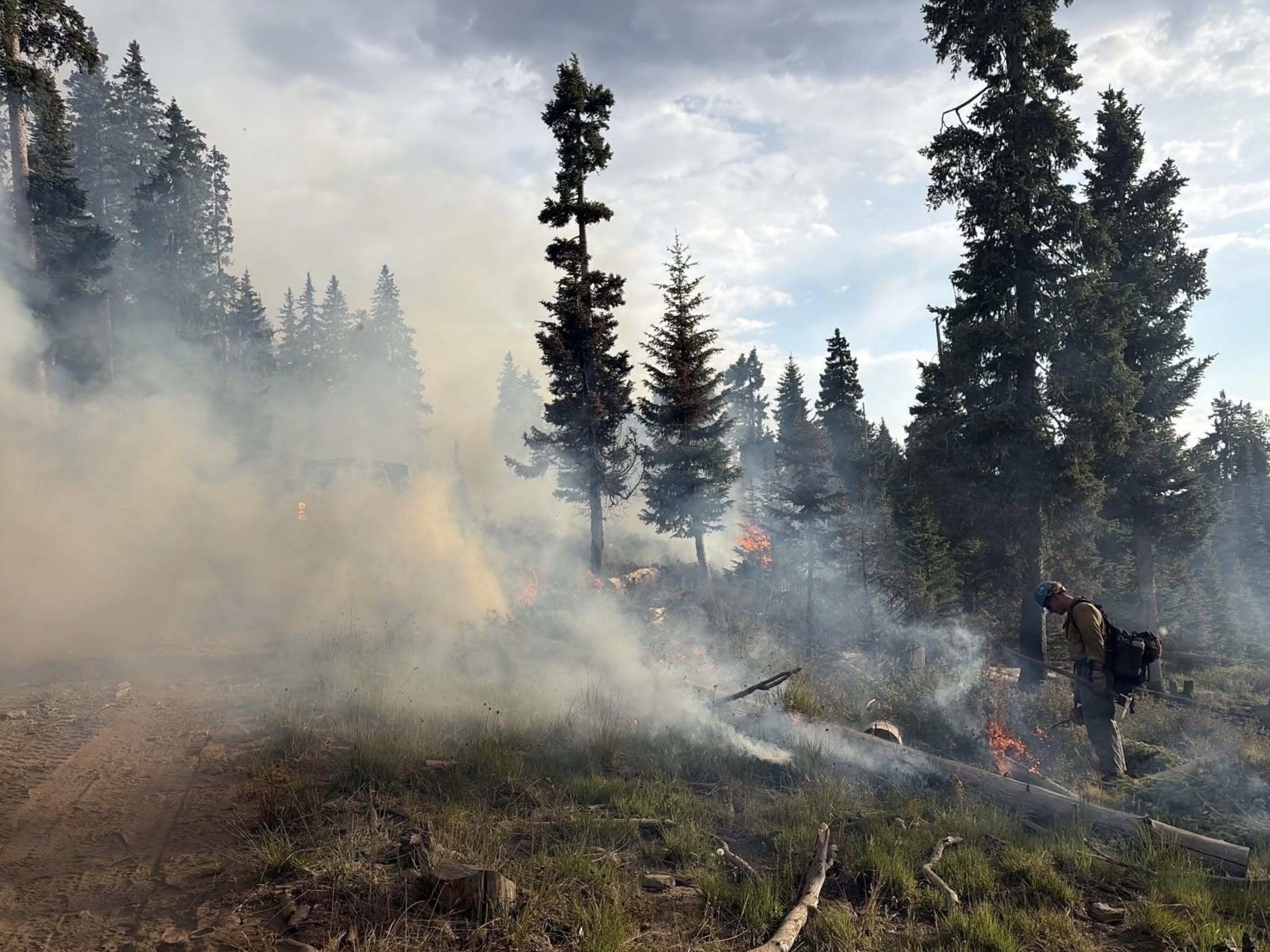 2026 North American Wildfires - Center for Disaster Philanthropy
